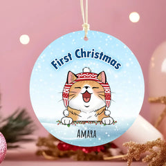 68aad5e8c0a76_preview