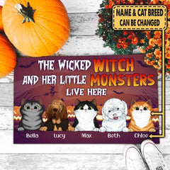 Wicked Witch And Monster Cat/Dog Live Here Halloween - Personalized Doormat