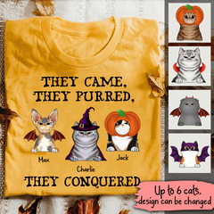 The Cat Squad Came Purred And Conquered Funny Halloween Personalized T-Shirt TS-HR216