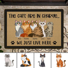 The Cats Are In Charge We Just Live Here Personalized Doormat DM-NB888