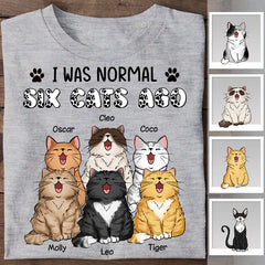 I Was Normal 6 Cats Ago Funny Personalized T-shirt TS-NB2380