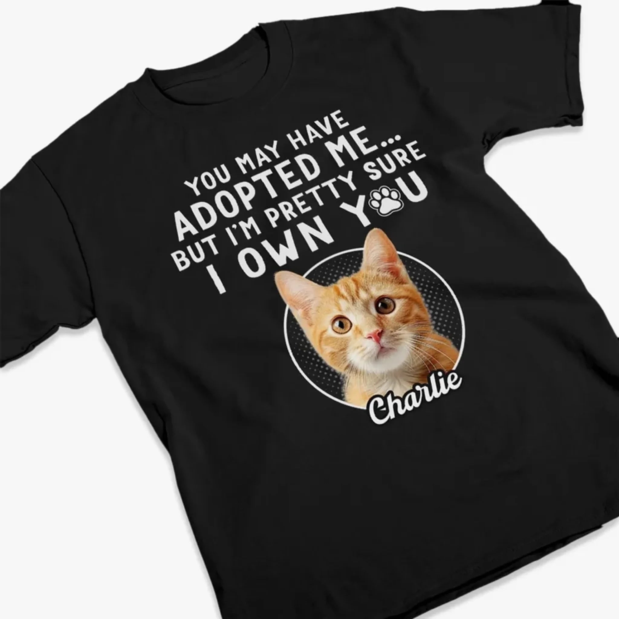 66b1d41b63a59_large