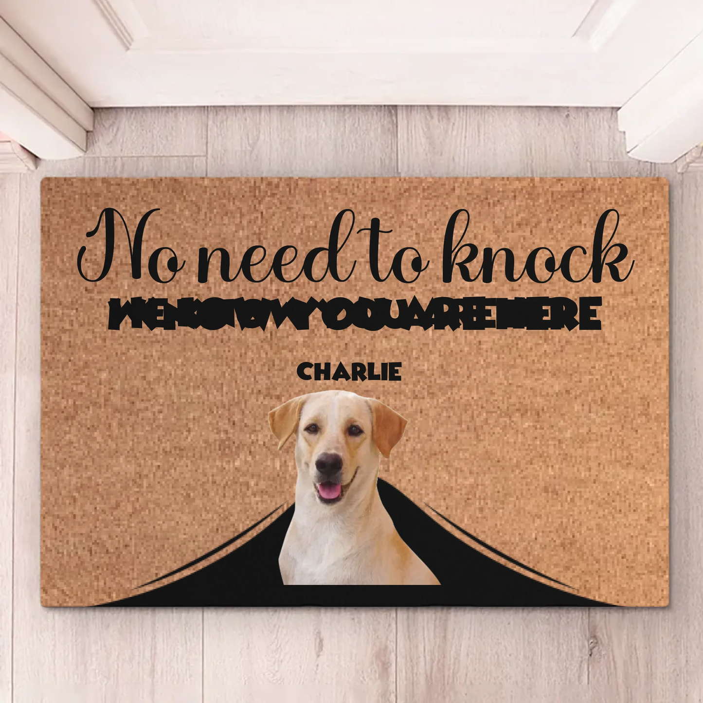 667bd2748ce73_large