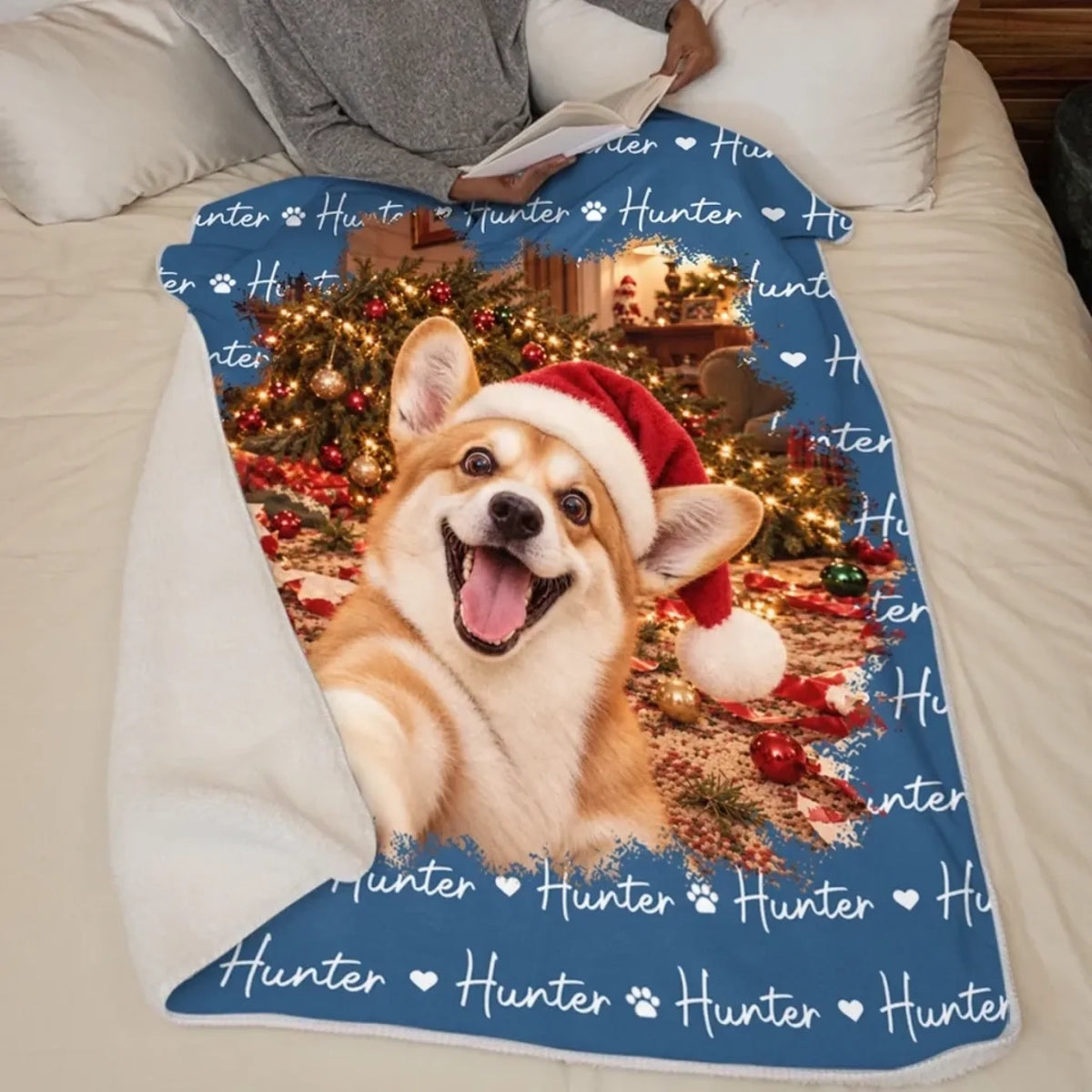 261001_lz4arlfEG2NMtrCq_large